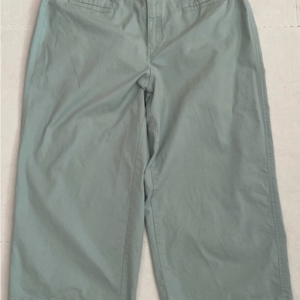 A New Day Women’s Stretch Elastizado Wide Leg Crop Pants Mint Green Size 18W